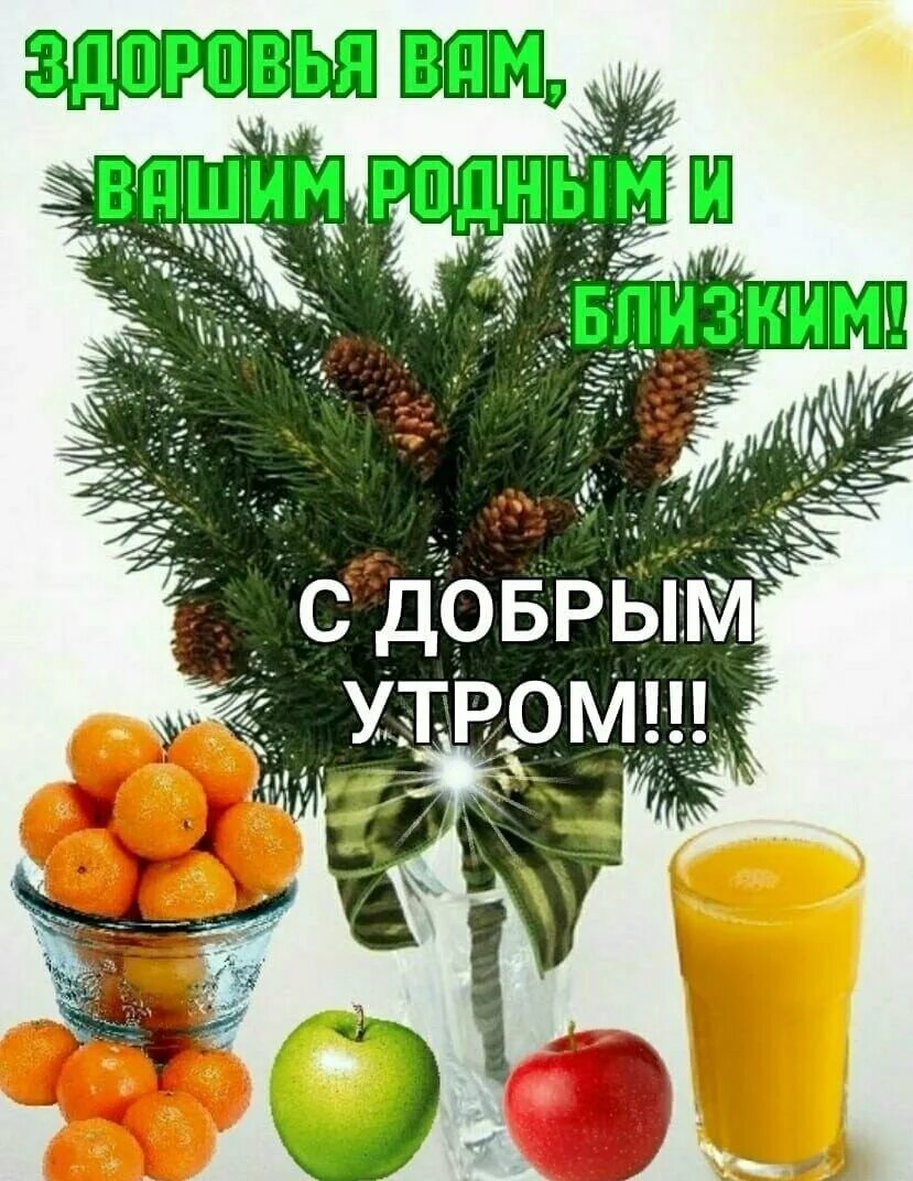 С добрым февральским утром здоровья добра. Доброе зимнее утро. Доброе утро здоровья и благополучия. Доброе утро здоровья вам. Доброе зимнее утречко.
