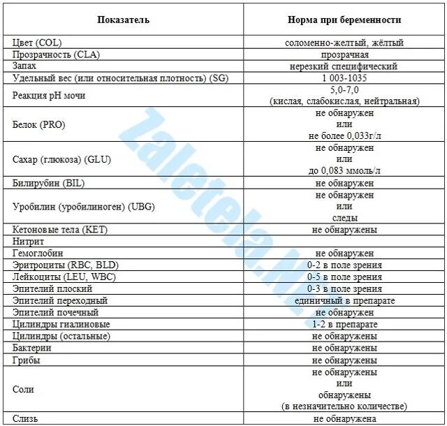 Общий белок при беременности норма. Анализ мочи у беременных норма 3 триместр общий расшифровка. Общий анализ мочи расшифровка у беременных 1 триместр. Расшифровка анализа мочи общий у беременных таблица. Общий анализ мочи при беременности расшифровка и нормы для женщин.