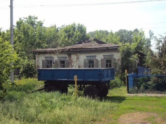Новая чигла погода на неделю. Новая чигла улица пролетарская. Чигла воронежская область таловский. Село новая чигла. Жировская дача.