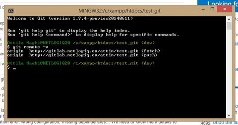 Git push error
