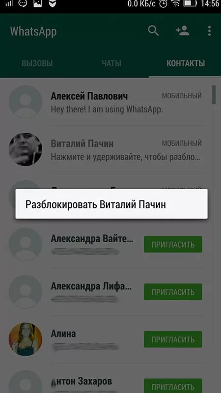 Номер заблокирован в WHATSAPP. Заблокирован номер в ватсап. Контакты в ватсапе. Блокировка номера в ватсапе. Почему ватсап заблокировал номер