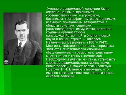 Развитие отечественной селекции