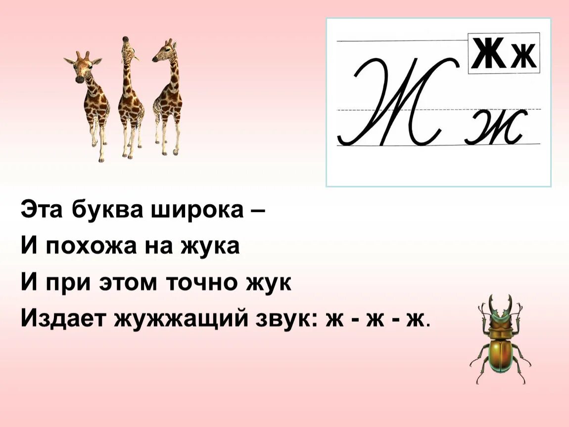 Буква ж звук обозначаемый. Стих про букву ж. Стихи на букву ж для детей. Стих про букву ж для дошкольников. Короткий стих про букву ж.