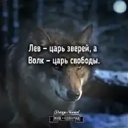 Царь зверей том 2 читать
