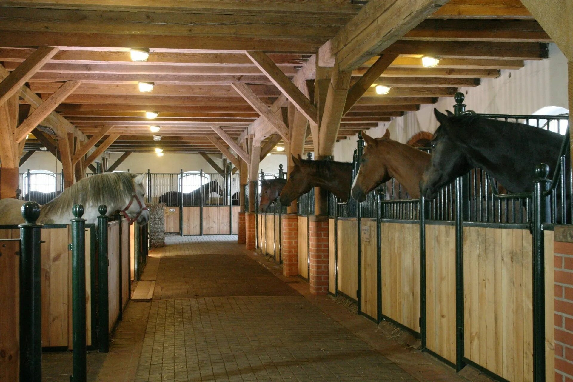 Конюшня содержание лошадей. Конюшни westphalian stables архитектура. конюшня 19 века. конная ферма «лошади дзержинский». кальтенбах конюшня.