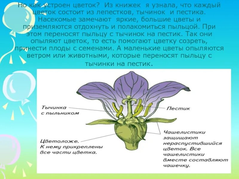 Для чего пахнут цветы. Почему пахнут цветы. Как устроен цветок. Как устроен цветочек. Почему пахнут цветы проект.