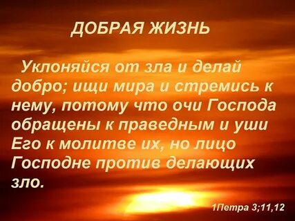 Добро жизненный опыт