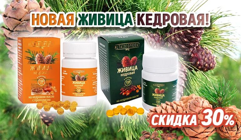 Прием живицы