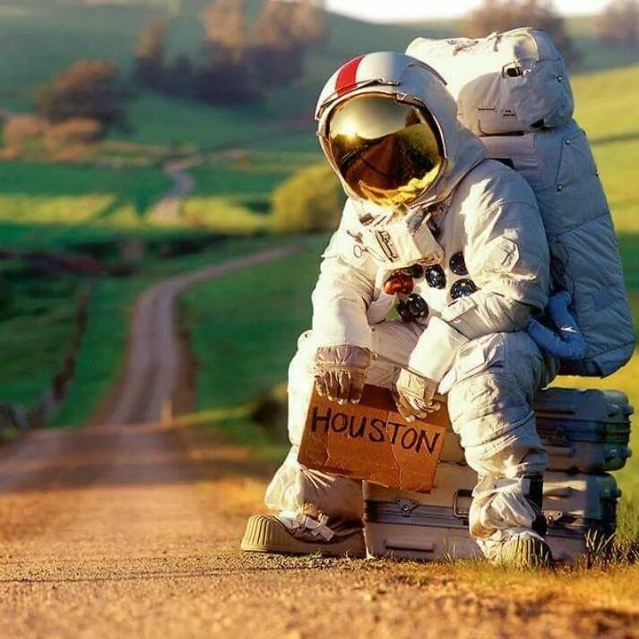 Iran's Space Monkey Takes Center Stage