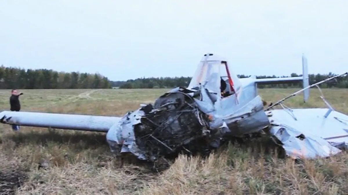 Крушение самолета под Воронежем. Разбился самолет в Воронежской области. Крушение самолетов в Терновской районе. Ежик в самолете.