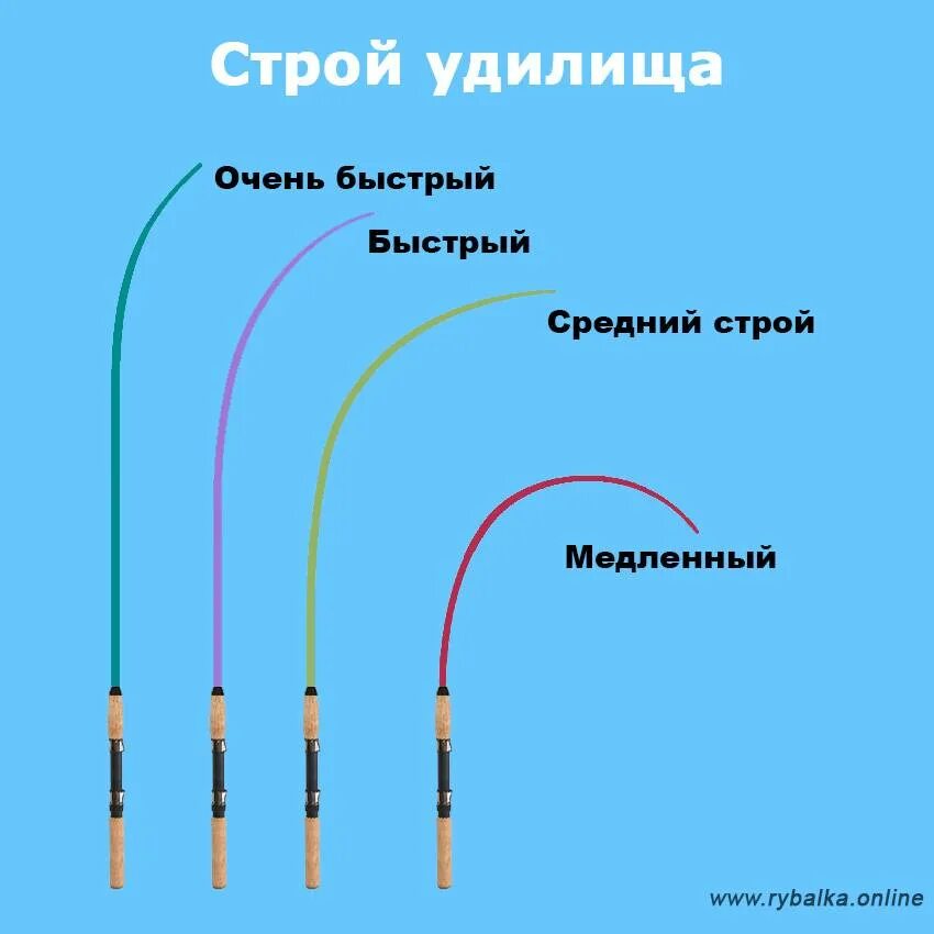 Спиннинги тесты строй. Строй спиннинга регуляр. Regular fast Строй спиннинга. Moderate fast Строй спиннинга. Средне быстрый Строй спиннинга маркировка.