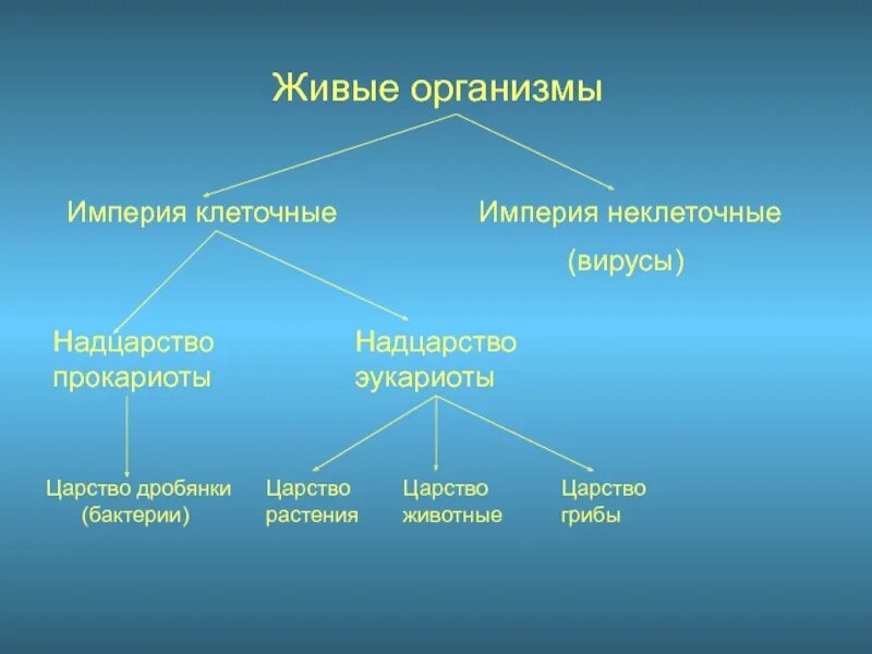 Основные царства живых организмов. Империя клеточные и неклеточные схема. Клеточные формы жизни. Клеточные и неклеточные формы жизни. Формы жизни живых организмов.