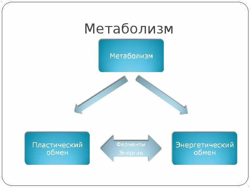 Метаболизм биология презентация. Обмен веществ анаболизм и катаболизм. Процессы пластического и энергетического обмена. Метаболизм биология презентация. Обмен веществ и энергии презентация.