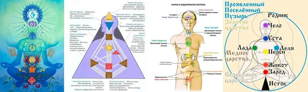 Чакры Аджна и Сахасрара. Славяно-Арийская система чакр. Энергетическая система человека и чакры. 12 Чакровая система человека схема. Исцеление вегетативной системы медитация