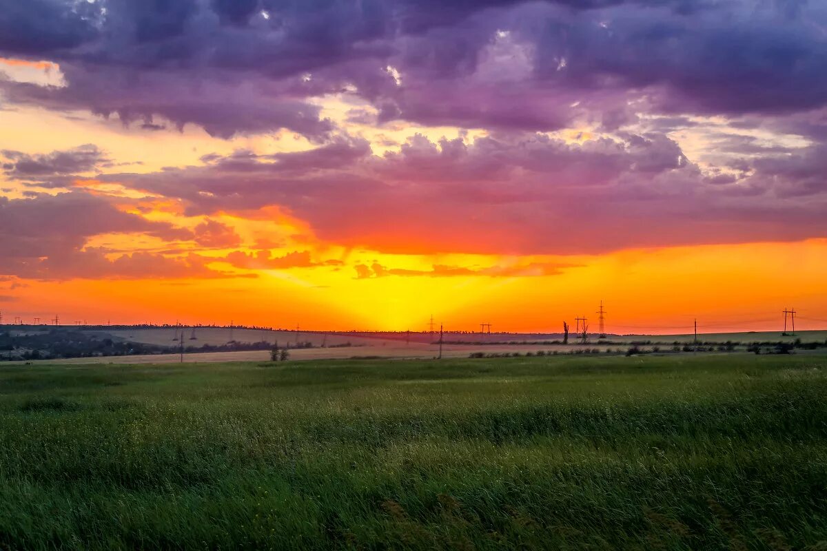 На закате колхозных. Рассвет в степи. Геннадий фёдорович борунов. Девушка в пшеничном поле. На закате колхозных.