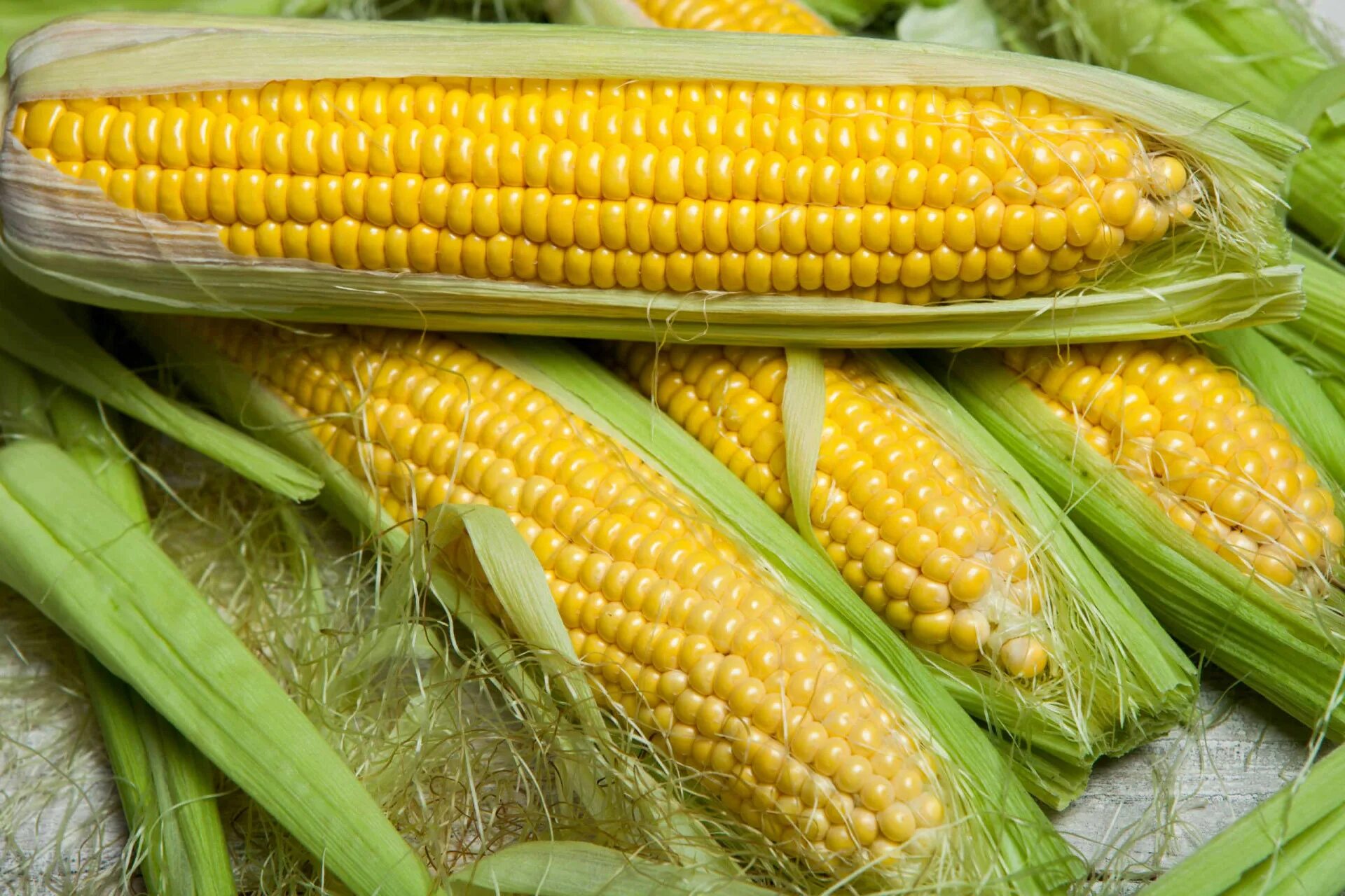 Кукуруза свежая в початках. Corn COB. Hot Corn. Початок кукурузы фото. Corn на русском