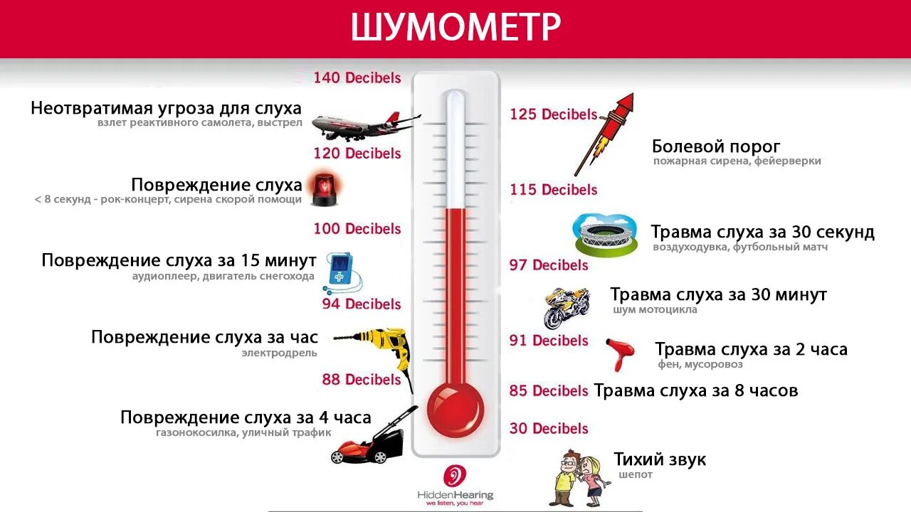 Дб см д