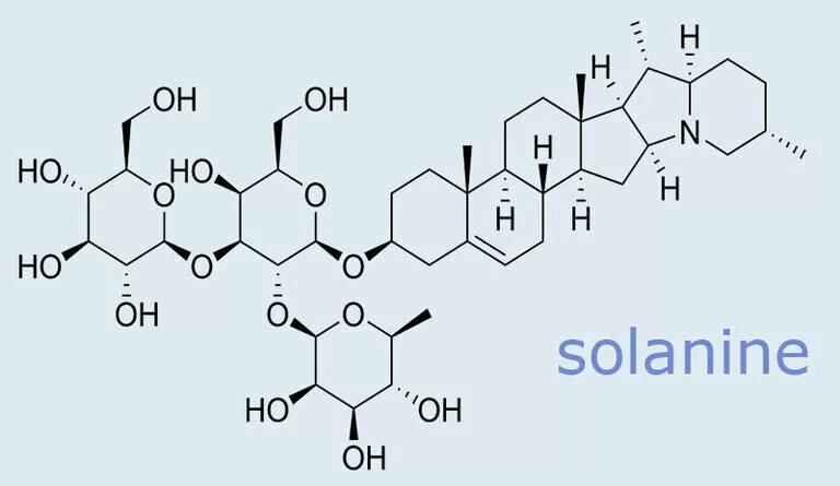 Наибольшее количество соланина. Соланин вещество. Соланин яд. Соланин и чаконин. Алкалоид соланин.