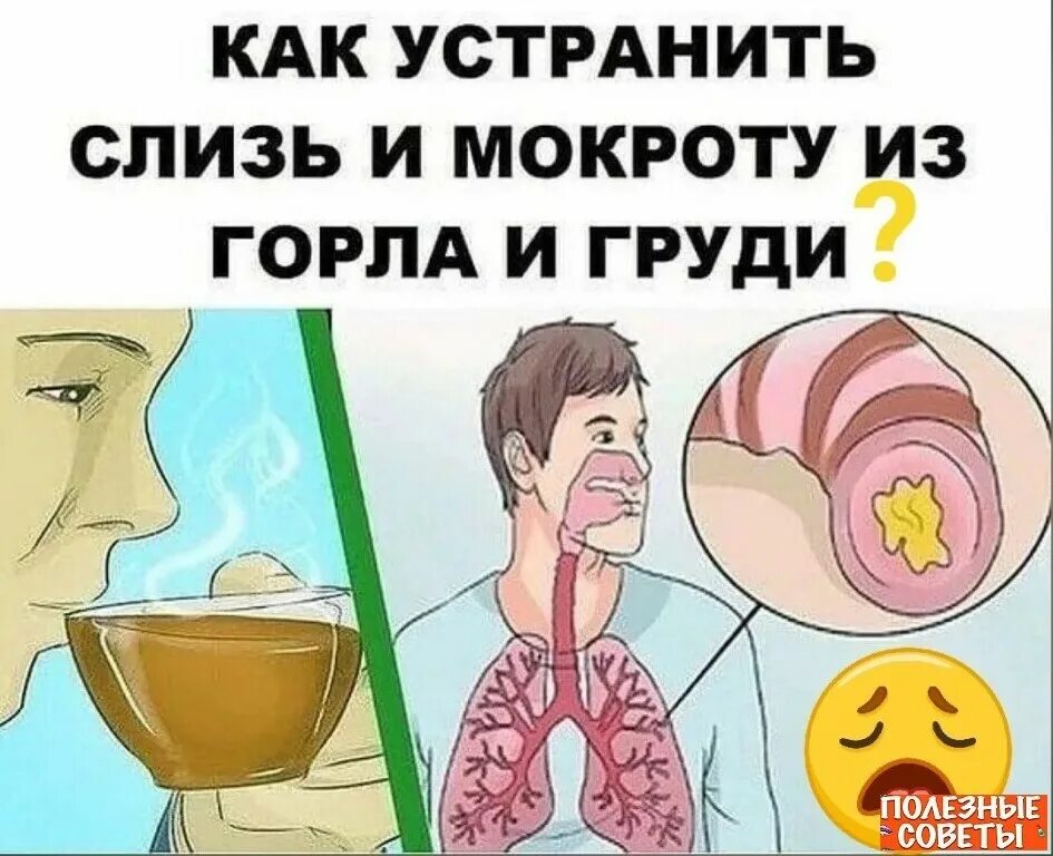 Как убрать мокроту из горла