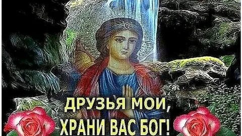 Включи храни