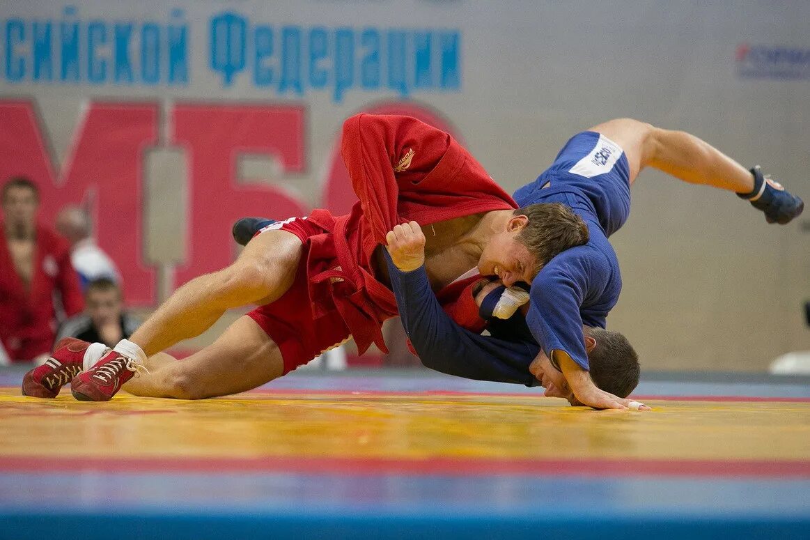 Самбо вологда. Самбо вологодской области. Самбо вологда соревнования. Данила андреевич самбо вологда. Первенство вологодской области по самбо.