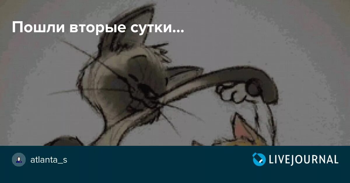 Не сплю вторые сутки. Когда не спал 2 суток. Когда не спишь вторые сутки. Я не могу уснуть вторые сутки что