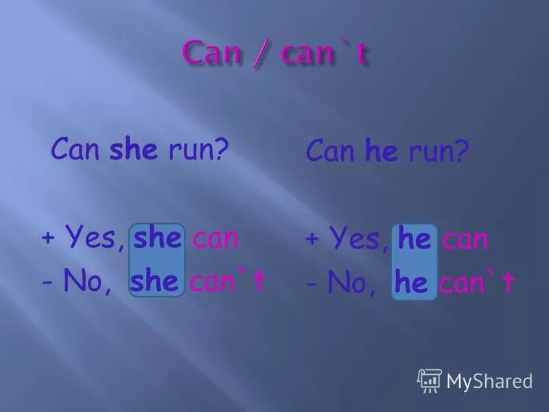 I run she runs. Can с he she it. can can&#039;t. конструкция i can. can или cant.