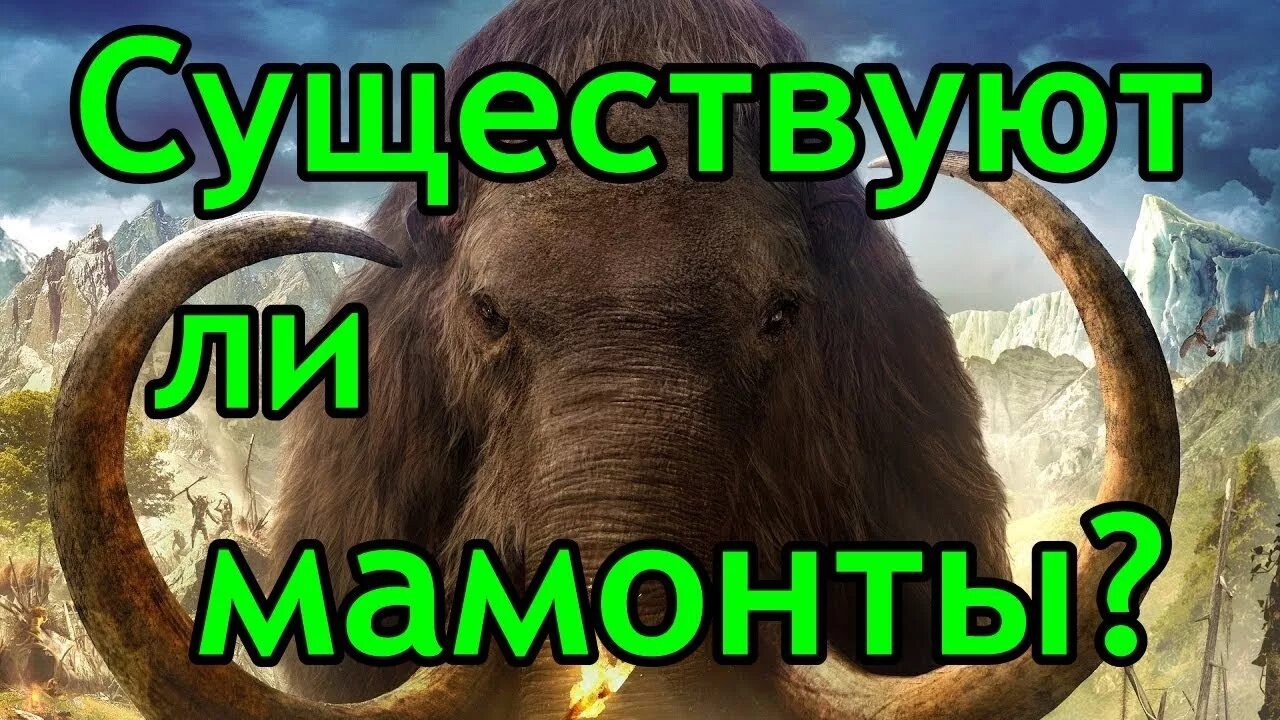 Мини мамонт ютуб. Заскамила мамонта. Мамонт Мем. С днем рождения мамонт.