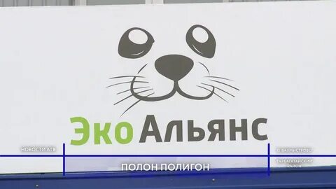 Альянс эко