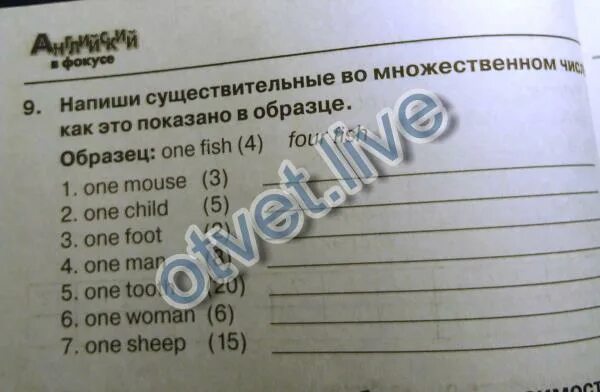 Напиши во множественном числе образец. Существительные во множественном числе как это показано в образце. напиши существительные во множественном числе как показано в образце. напиши существительные во множественном числе как это показано. напиши существительное во множественном числе как показано в образце.