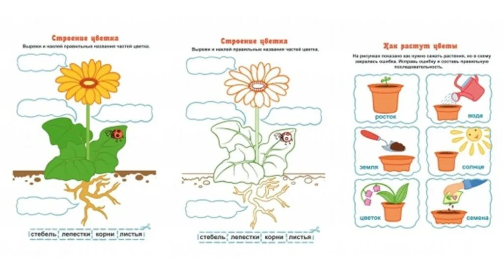 Игры на тему комнатные растения. Задание по лексической теме комнатные растения. Комнатные растения задания для дошкольников. Задания по комнатным растениям для дошкольников. Комнатные растения для дошкольников.