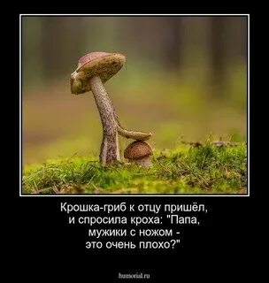 Стих держись сынок автор