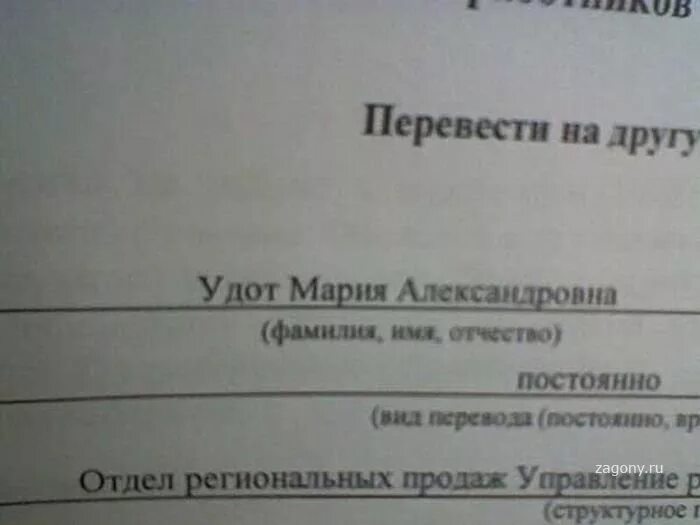 Всегда перевод. Смешные матерные фамилии. Самые смешные матерные фамилии. Прикольные двойные фамилии. Смешные древнерусские фамилии.