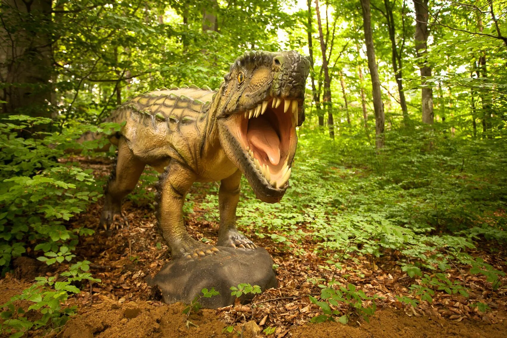 Фото dino. Крылатская 18 дино парк. Динопарк парк динозавров уфа. Парк динопарк. Затерянный мир парк динозавров анапа.