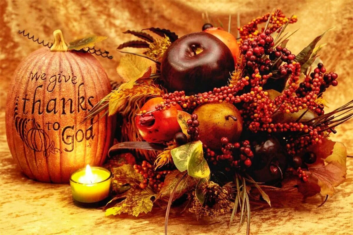 Thanksgiving day harvest day. Жатва плоды. Праздничная еда. Празднование дня благодарения в сша. День благодарения в сша.