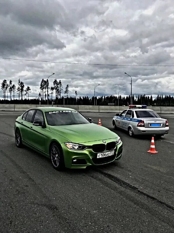 Fil cars. Гигантский слон. Фотообои смешные. Фил колсон с машиной. Сафари смешные картинки.