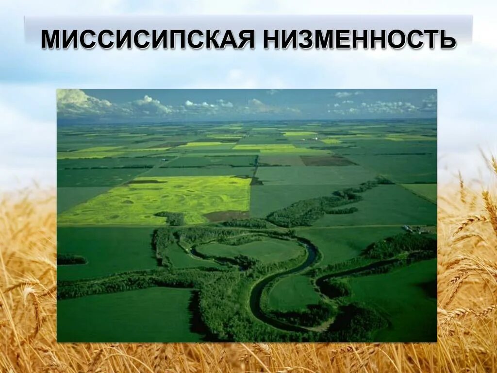 Разнообразие рельефа равнин. Северная Америка Миссисипская низменность. Миссис пская низменгость. Миссисипская равнина в Северной Америке. Миссипикинская низмен.