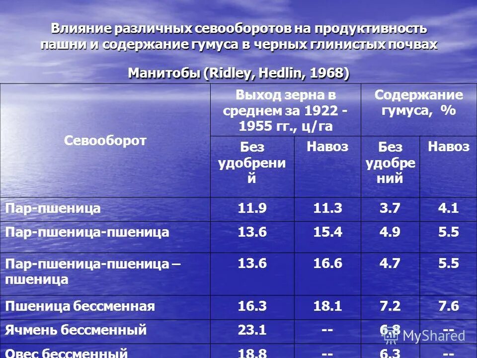 Тундрово-глеевые почвы профиль. Виды почв чернозем. Как определить содержание гумуса в почве. Каким образом и почему изменяется содержание гумуса. Каким образом и почему изменяется содержание гумуса.