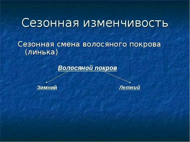 Естественный процесс смены шерстного и перьевого покрова. Сезонная изменчивость фитоценозов. Сезонная изменчивость примеры. Сезонные мутации. Смена шерстного Покрова.