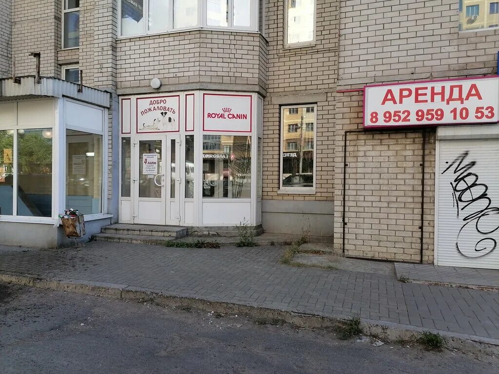 городская ветеринарная клиника воронеж. ветклиника на ломоносова 117 воронеж. улица 45 стрелковой дивизии дом 125 воронеж.