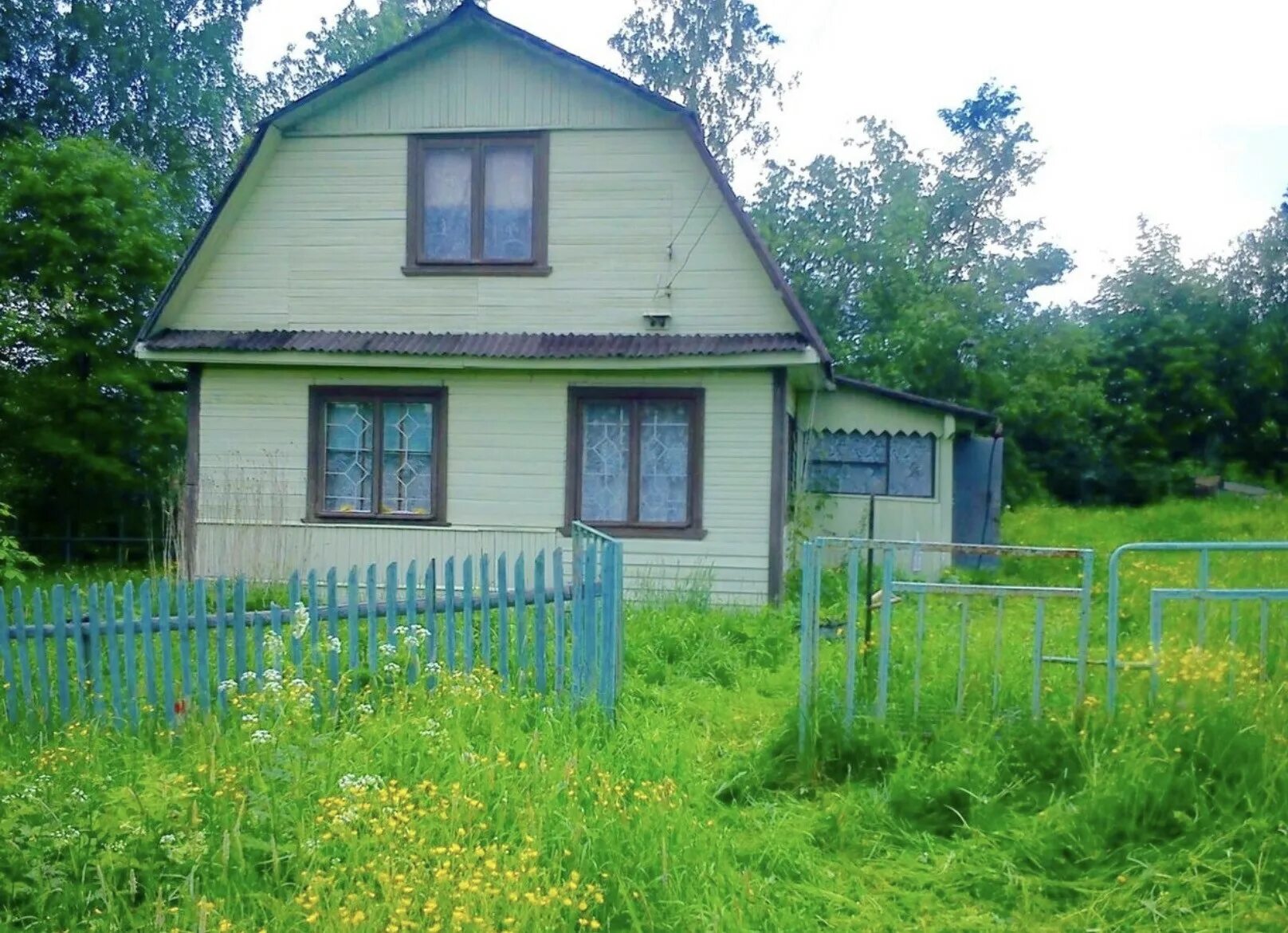 Купить дом в ленинградской области луга. Долговка Лужский район Ленинградской области. Деревня Долговка Ленинградская область. Ленинградская область Лужский район дом. Лопанец Лужский район.