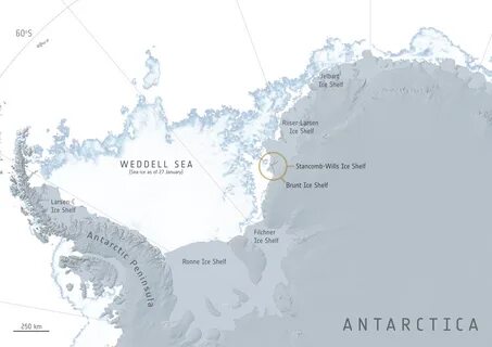 Покажи на карте море беллинсгаузена