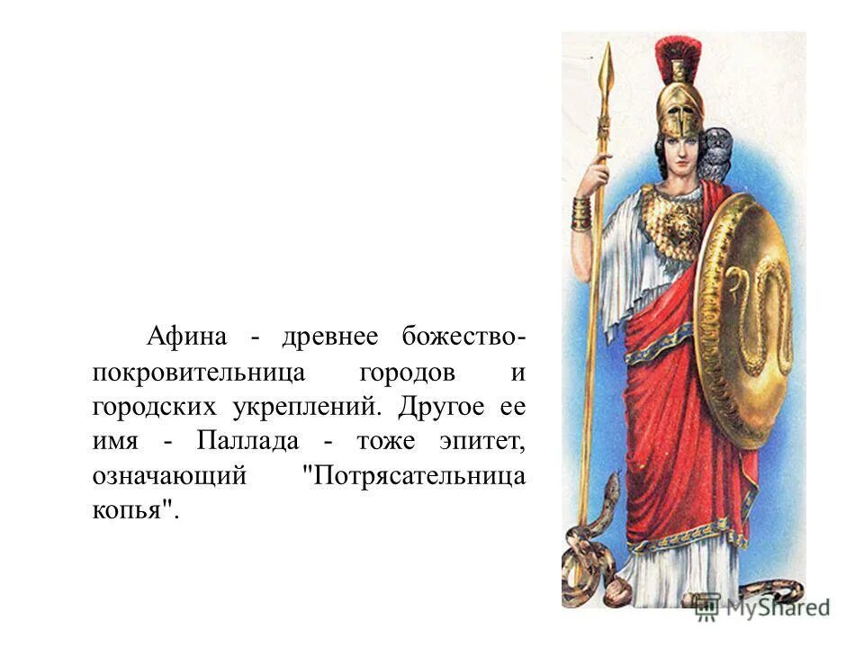 мифы древней греции спор афины и посейдона. афина паллада.
