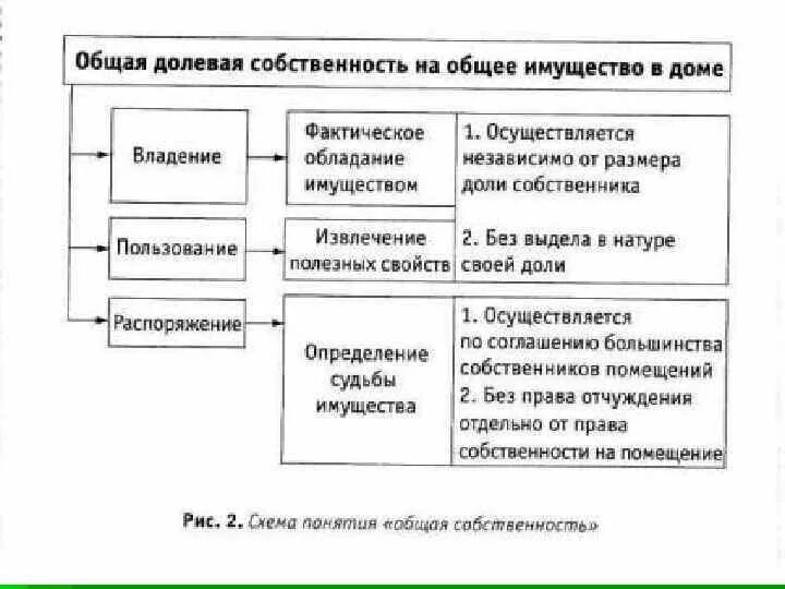 Общая долевая собственность. Право общей долевой собственности. Понятие общей собственности. Общая долевая и совместная собственность.