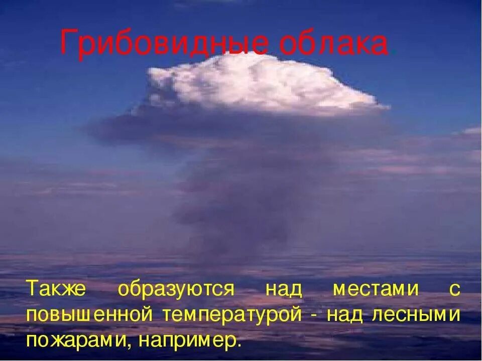 Также появляется
