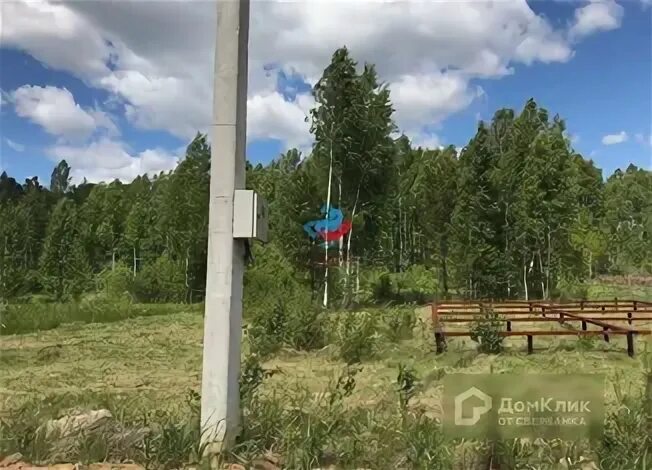 Красный адуй