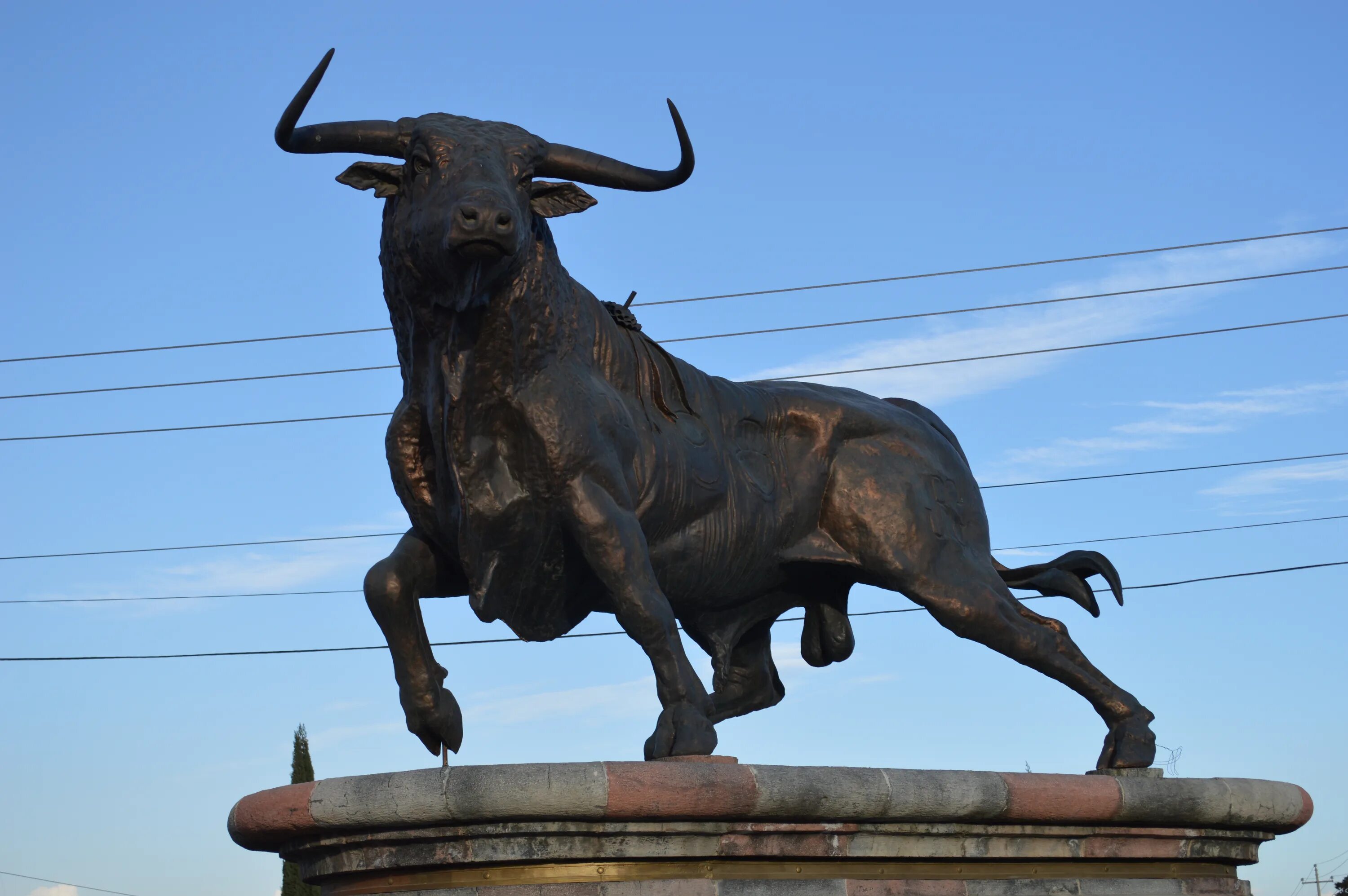 Зе бык киевская. Железный бык Благовещенск. Скульптура «бык ». Рога быка. Статуя буйвола.