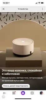 Алиса лайт колонка подключить к интернету