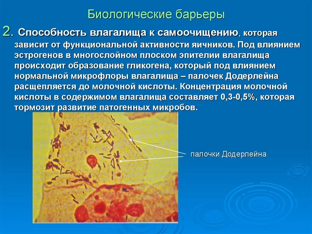 Биологические барьеры гинекология. Биологические барьеры организма строение. Естественные барьеры организма. Биологические барьеры в фармакологии.