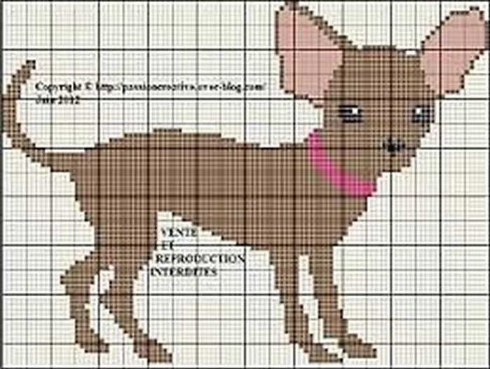 чихуахуа набор для вышивания. вышивка крестом собаки. вышивка крестом чихуахуа. схема вышивки чихуахуа. чихуахуа схема.